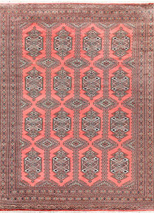 Light Coral Caucasian 9' 1 x 11' 6 - No. 58544