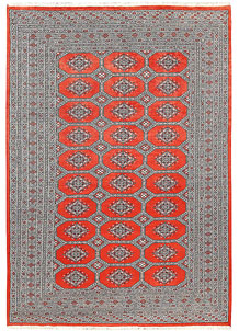 Tomato Jaldar 6' x 8' 6 - No. 60267