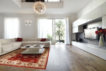 Why are Modern Ziegler Rugs So Popular in Contemporary Décor?