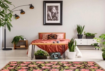 Caucasian Rugs: History, Material and Types